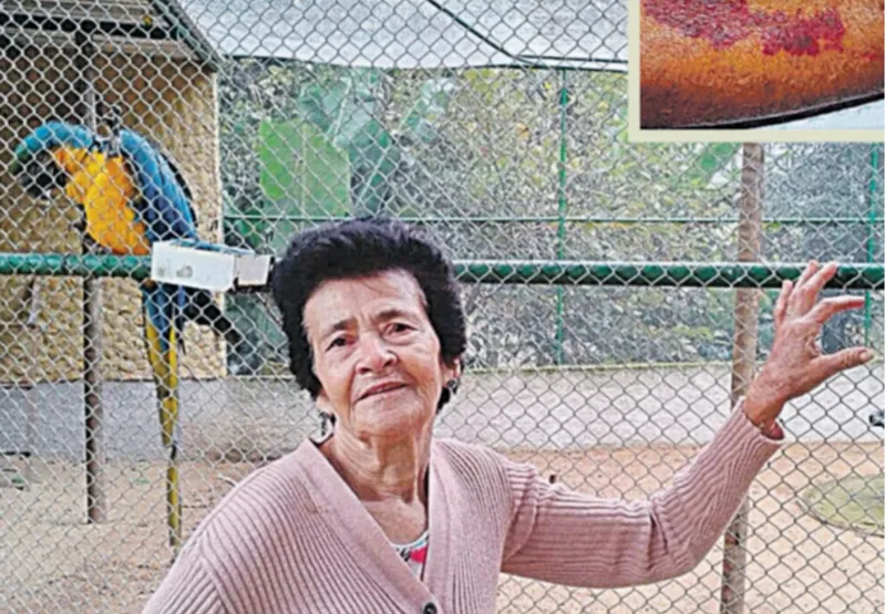 Aydee Tonin, 84 anos, aposentada 