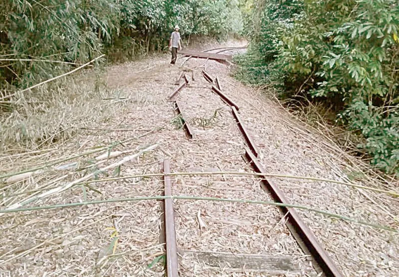 Sem receber manutenção, dormentes de madeira da estrada 
de ferro estragaram