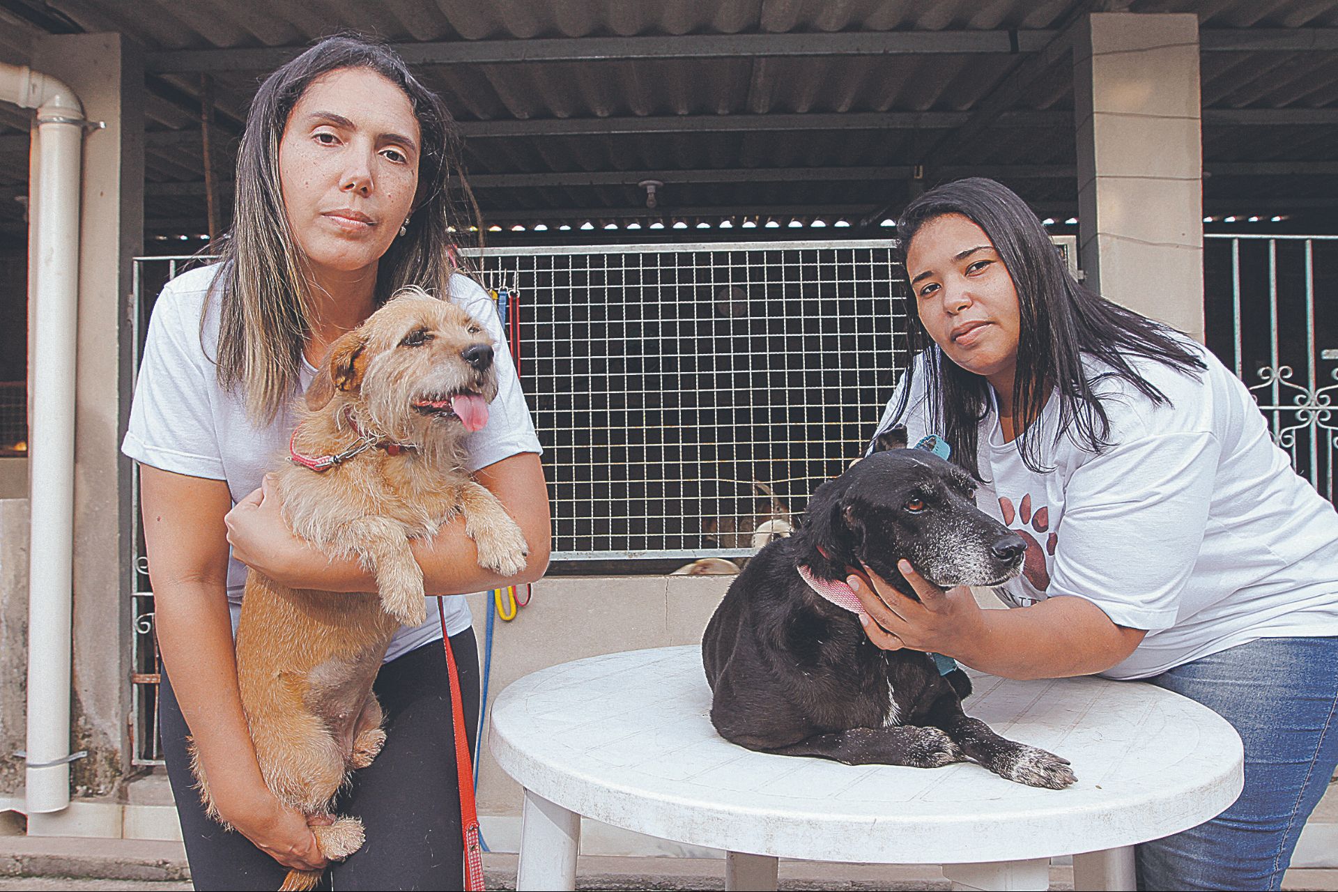 as voluntárias de abrigo Roberta Maciel e Luana Patrícia Matos apoiam lei que prevê cadeia para agressores (Foto: Beto Morais/AT)