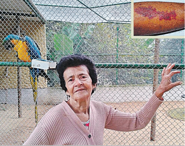 Aydee Tonin, 84 anos, aposentada (Foto: Acervo Pessoal)