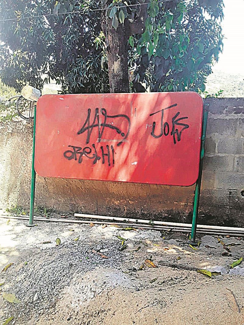 (Foto: Joaquim Carlos Rodrigues)
