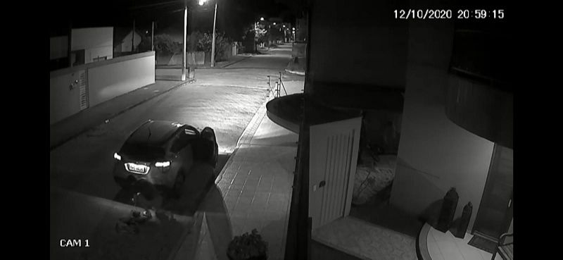 Câmera flagrou o motorista arrastar o cão até a morte (Foto: Reprodução/Vídeo)