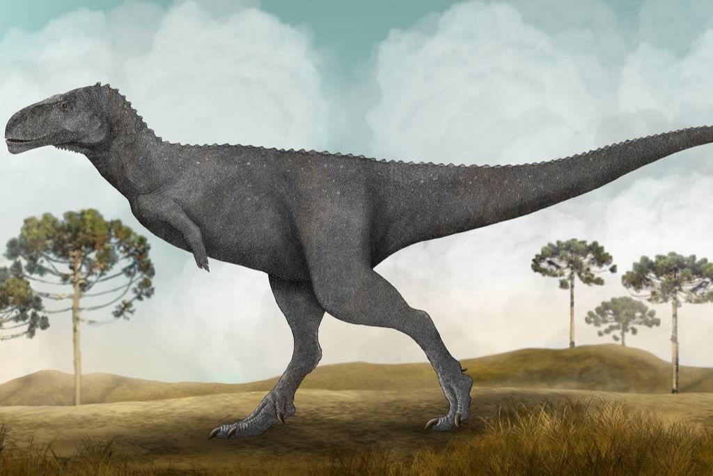 Desenho da espécie brasileira do dinossauro carnívoro, batizada de Spectrovenator ragei (Foto: Johnny Mingau / Divulgação)