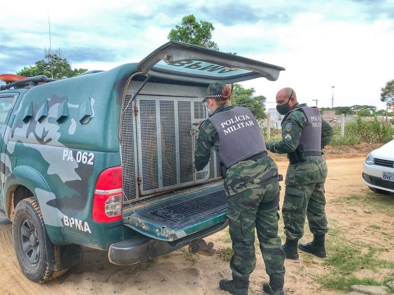 (Foto: Divulgação/ONG Vipa)