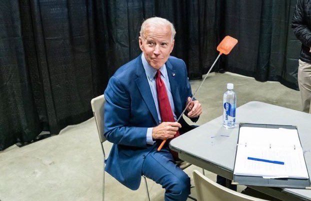 Joe Biden com o mata-moscas (Foto: Reprodução/ Twitter @JoeBiden)