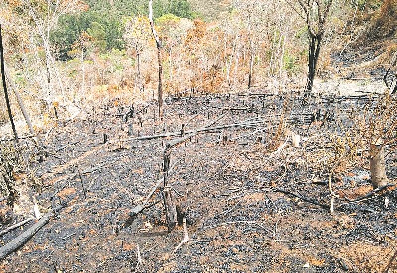 (Foto: Divulgação/MPE-ES)