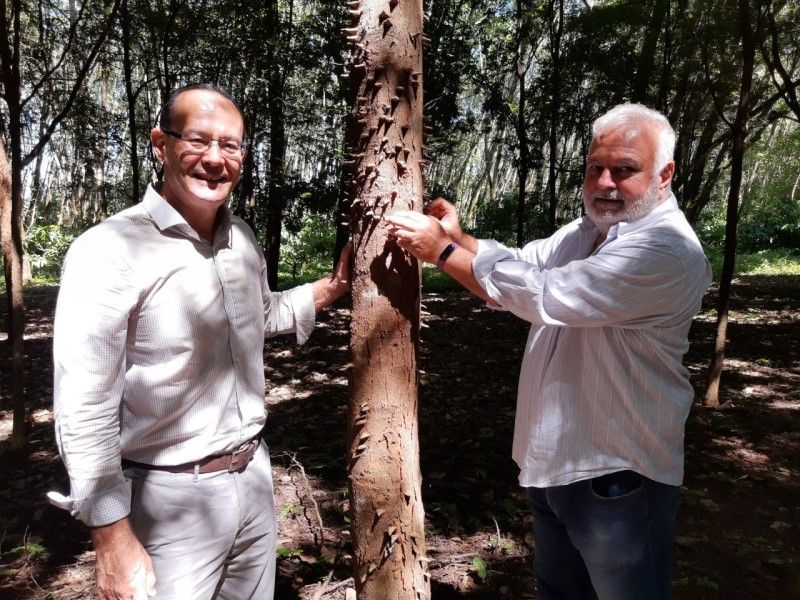 Enio Bergoli e Pedro Galvêas estudam as mudas de pau-brasil. (Foto: Divulgação)
