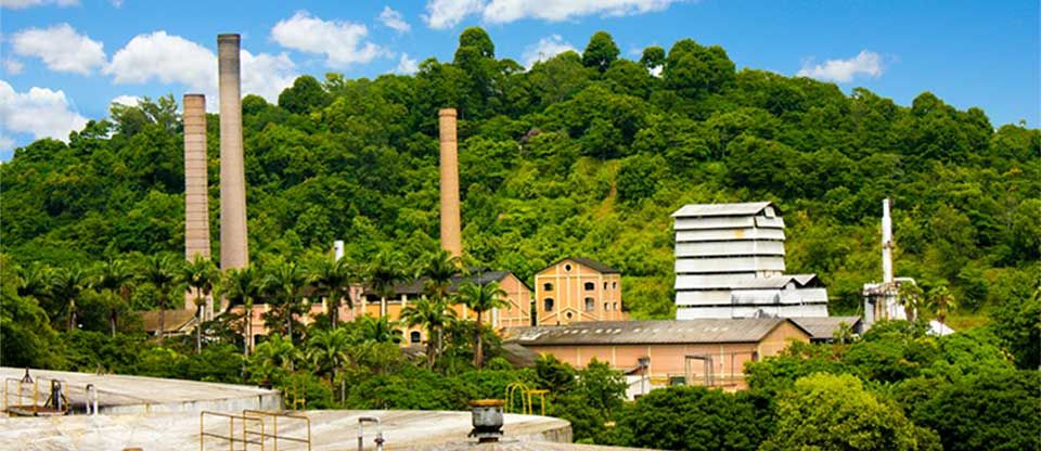 Usina Paineiras, em Itapemirim, região Sul do Estado (Foto: Divulgação/Usina Paineiras)