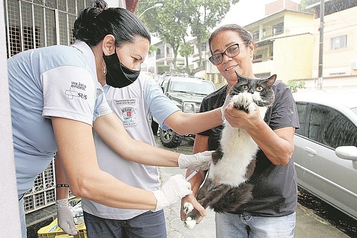 Maristela Ferreira recebeu visita em casa da equipe da prefeitura que vacinou seus dois gatos e três cães (Foto: Dayana Souza/AT)