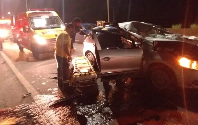 Imagem ilustrativa da imagem Cavalo morre atropelado após ser atingido por carro na Rodovia do Sol