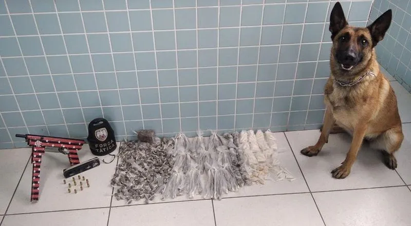 Imagem ilustrativa da imagem Polícia apreende 4 suspeitos com droga e arma personalizada em Cariacica