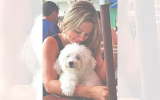 Imagem ilustrativa da imagem Câncer de mama também atinge os animais