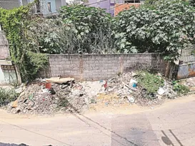 Imagem ilustrativa da imagem Terreno com lixo, mato e ratos