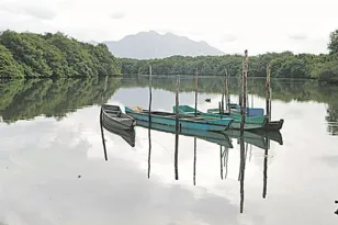 Imagem ilustrativa da imagem Beleza ameaçada e silêncio