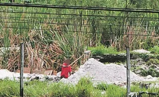 Imagem ilustrativa da imagem Parque natural fica no papel