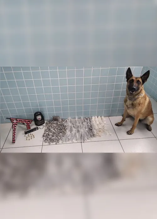Imagem ilustrativa da imagem Polícia apreende 4 suspeitos com droga e arma personalizada em Cariacica