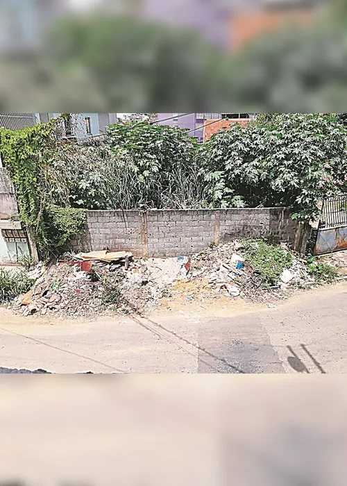 
          Imagem ilustrativa da imagem Terreno com lixo, mato e ratos
          