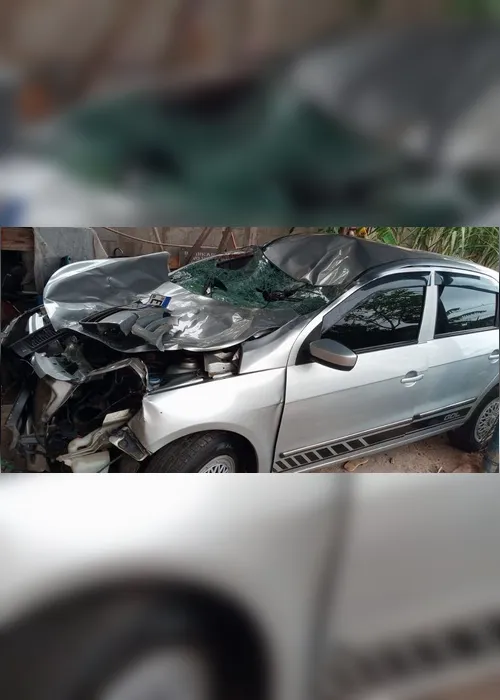 Imagem ilustrativa da imagem Cavalo morre atropelado após ser atingido por carro na Rodovia do Sol