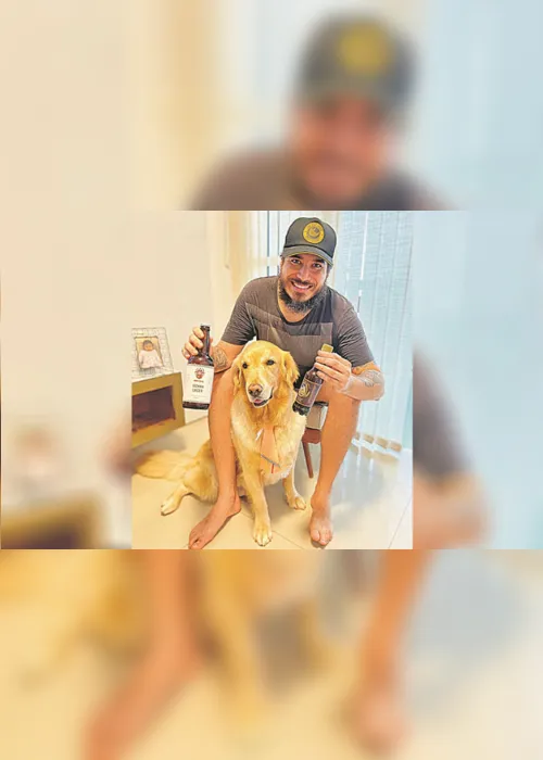 Imagem ilustrativa da imagem Até cerveja e gelatinas para aliviar o calor dos pets