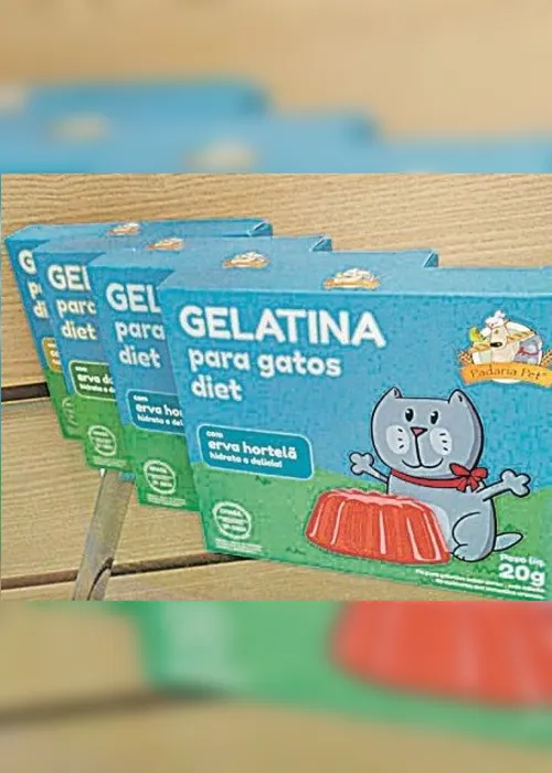 Imagem ilustrativa da imagem Até cerveja e gelatinas para aliviar o calor dos pets