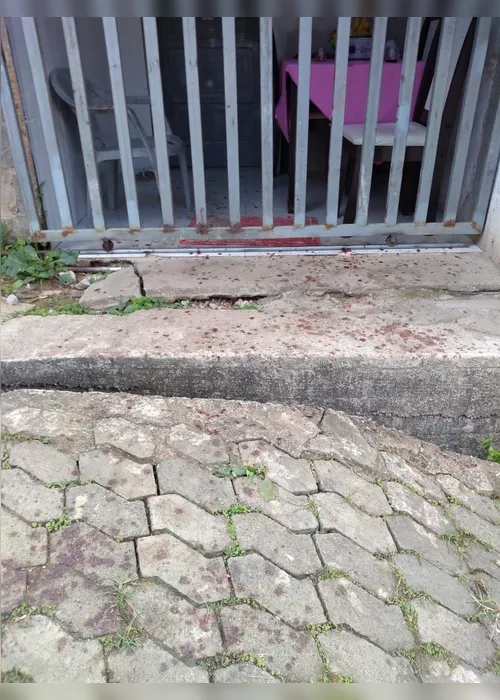 Imagem ilustrativa da imagem Jovem mata a mãe e fere o padrasto a facadas em Cariacica