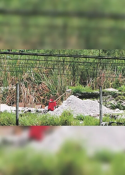 
          Imagem ilustrativa da imagem Parque natural fica no papel
          