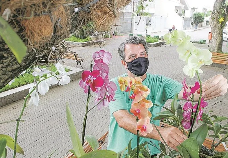 O corretor de imóveis André Rato foi o primeiro a levar as suas orquídeas para a rua, no bairro Mata da Praia