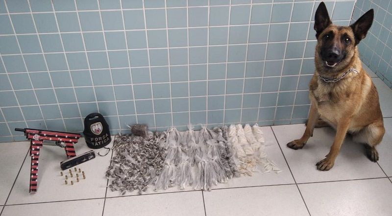 A cadela Bella conseguiu localizar uma metralhadora, munições e drogas (Foto: Divulgação)
