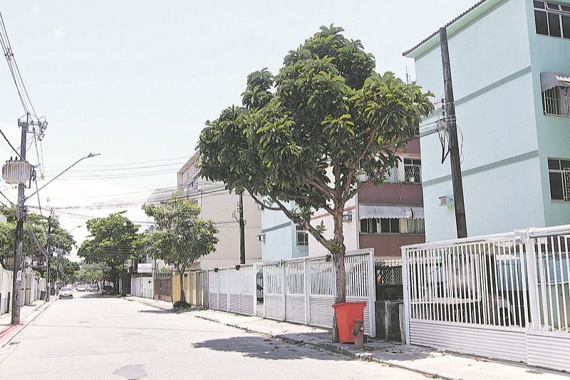Árvore está na rua José Neves Cypreste, em Jardim da Penha (Foto: Beto Morais/ AT)