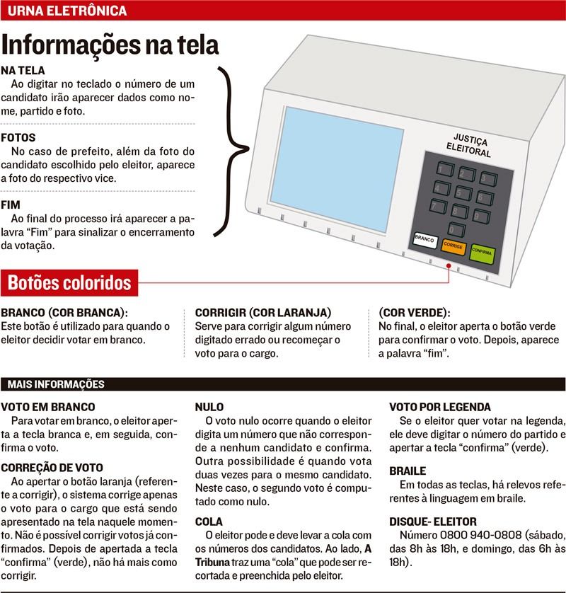 Informações sobre Eleições (Foto: )