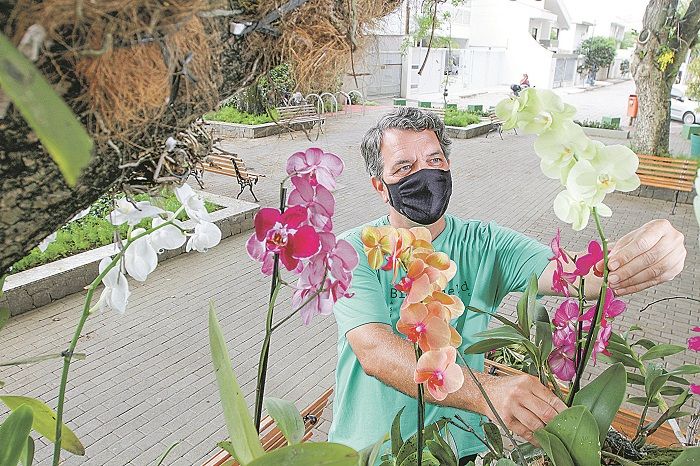 O corretor de imóveis André Rato foi o primeiro a levar as suas orquídeas para a rua, no bairro Mata da Praia (Foto: Dayana Souza/AT)