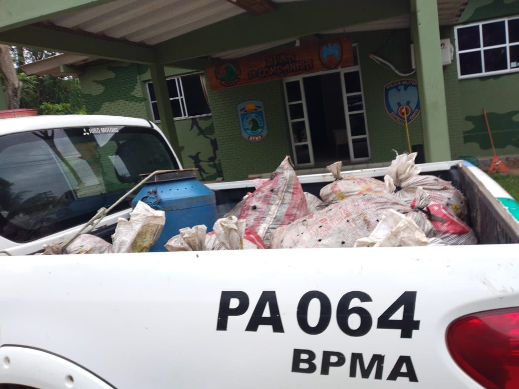 Animais estavam em 14 sacos localizados em mata fechada (Foto: Divulgação)