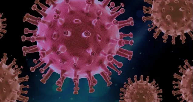 Imagem ilustrativa da imagem Covid-19: Índia registra menos de 300 mil casos pela 1ª vez em 25 dias