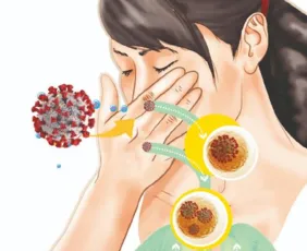 Imagem ilustrativa da imagem Novo coronavírus: proteja a sua família