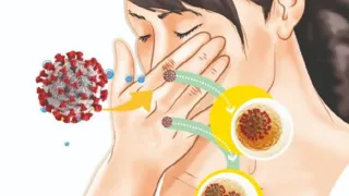 Imagem ilustrativa da imagem Novo coronavírus: proteja a sua família