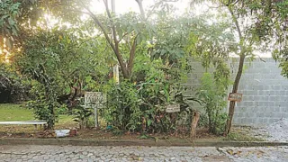 Imagem ilustrativa da imagem Muro construído divide praça pública ao meio