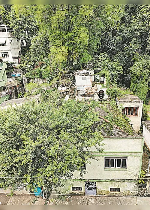 
          Imagem ilustrativa da imagem Imóvel abandonado no Centro
          