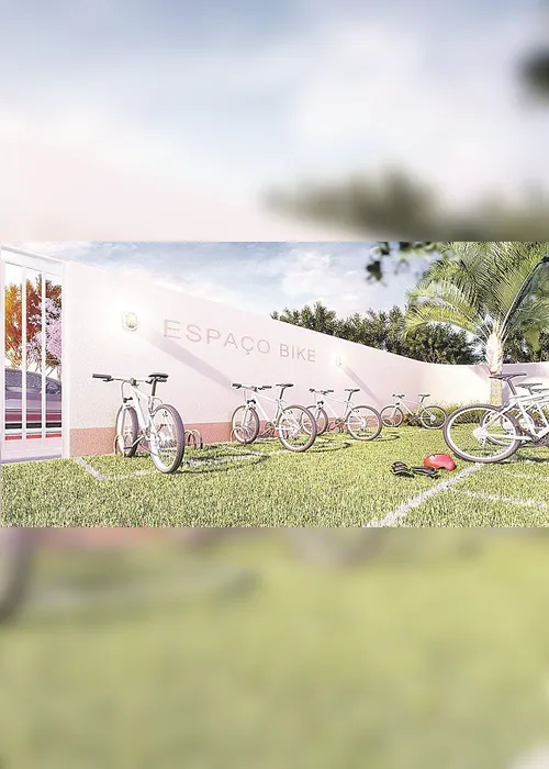 Imagem ilustrativa da imagem Horta, pomar e bicicletas para moradores na Serra