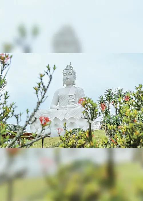 Imagem ilustrativa da imagem Mosteiro Zen inaugura estátua do Grande Buda