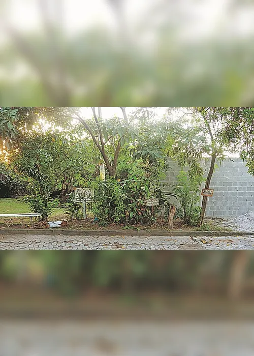 
          Imagem ilustrativa da imagem Muro construído divide praça pública ao meio
          