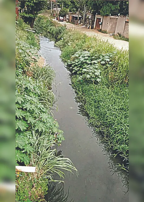 
          Imagem ilustrativa da imagem Valão sujo e cheio de mato
          