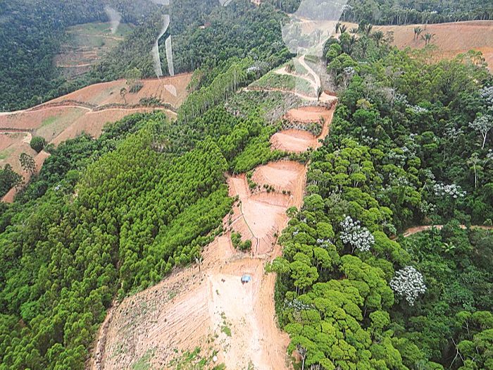 Área desmatada em Santa Teresa: queimadas e retirada ilegal de árvores (Foto: Pedro Heyerdahl de Sá - Idaf/ divulgação)
