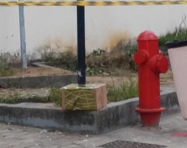 Esquadrão antibombas foi acionado para detonar a caixa suspeita (Foto: Roberta Bourguignon)