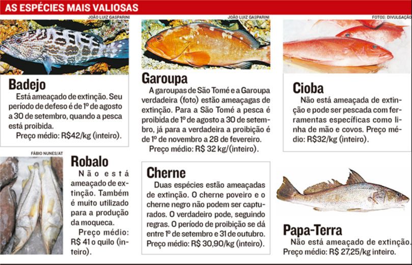 (Arte: Jornal A Tribuna)