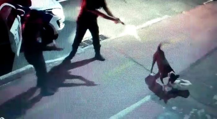 Momento em que o agente dispara o tiro contra o cachorro (Foto: Reprodução vídeo)