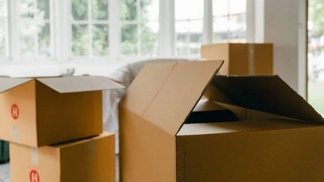 Entre a coleção, havia caixas com DVDs, VHS e outros materiais avaliados em R$ 127 mil (Foto: Divulgação)