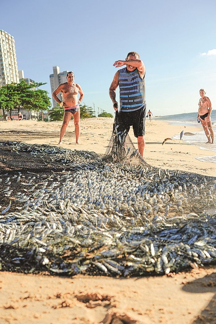 Pesca artesanal, em Itapuã, Vila Velha: abundância de peixes nesta época (Foto: Karla Rodrigues/ Divulgação)