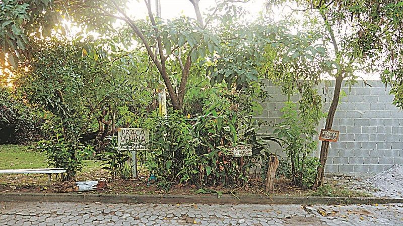 (Foto: Paulo Antonio de Souza)
