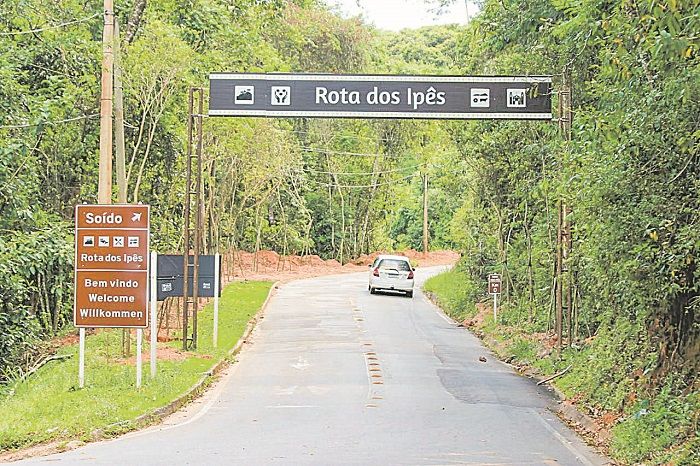 Rota dos ipês (Foto: Julio Huber)