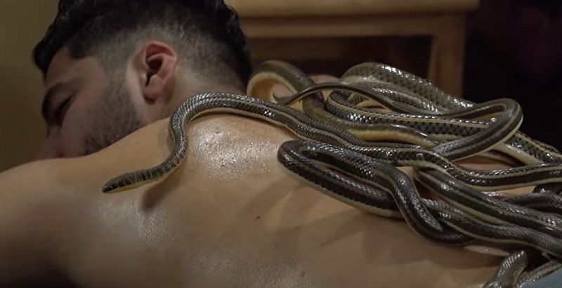 A técnica consiste em deixar 28 tipos de cobras sem veneno rastejarem livremente pelo corpo do paciente por 30 minutos (Foto: Divulgação)